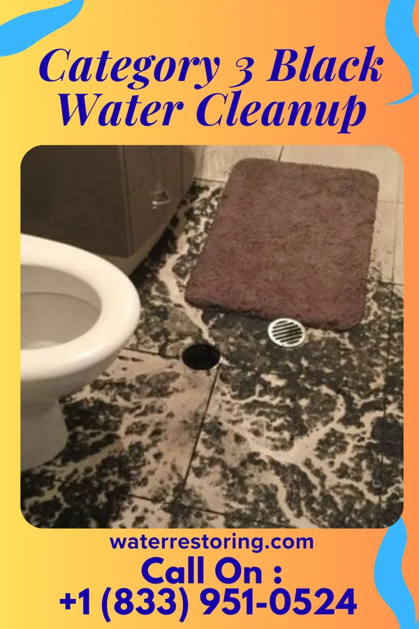 Category 3 Black Water Cleanup in Unionville, GA