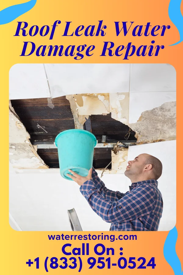Roof Leak Water Damage Repair in Unionville, GA
